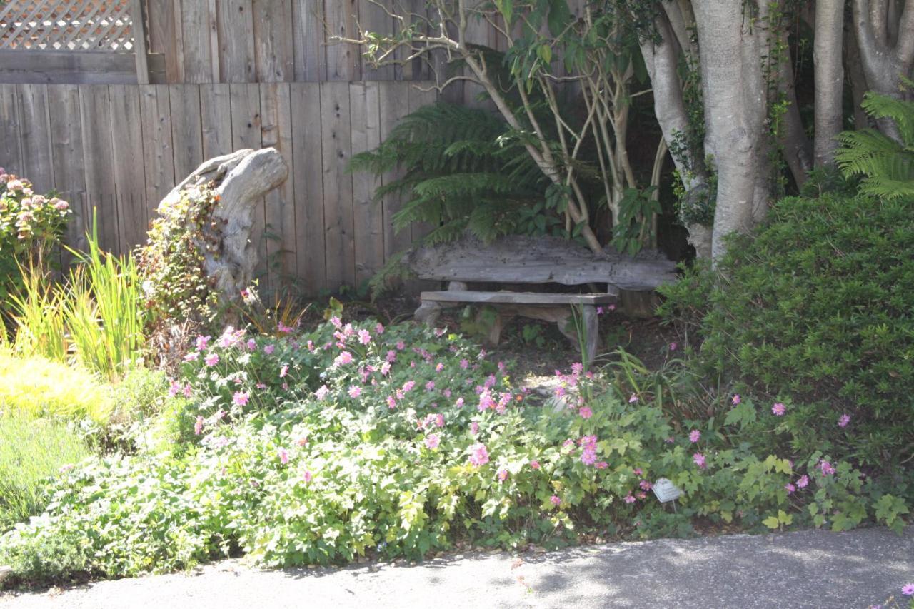 Seagull Inn Bed & Breakfast Mendocino Zewnętrze zdjęcie